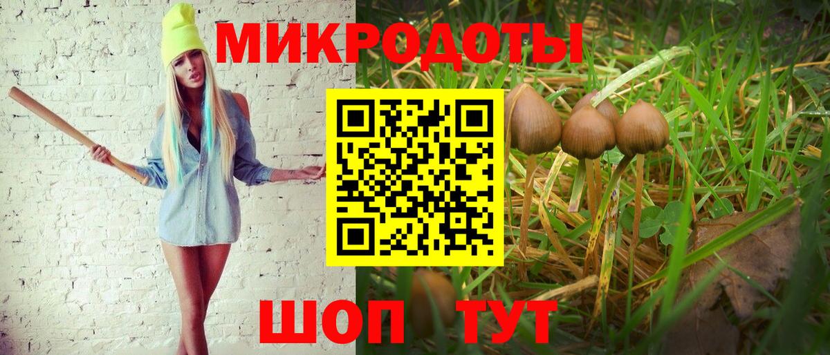 Галлюциногенные грибы Psilocybine cubensis  Вход с VPN  Галлюциногенные грибы мицелий  Стрежевой 