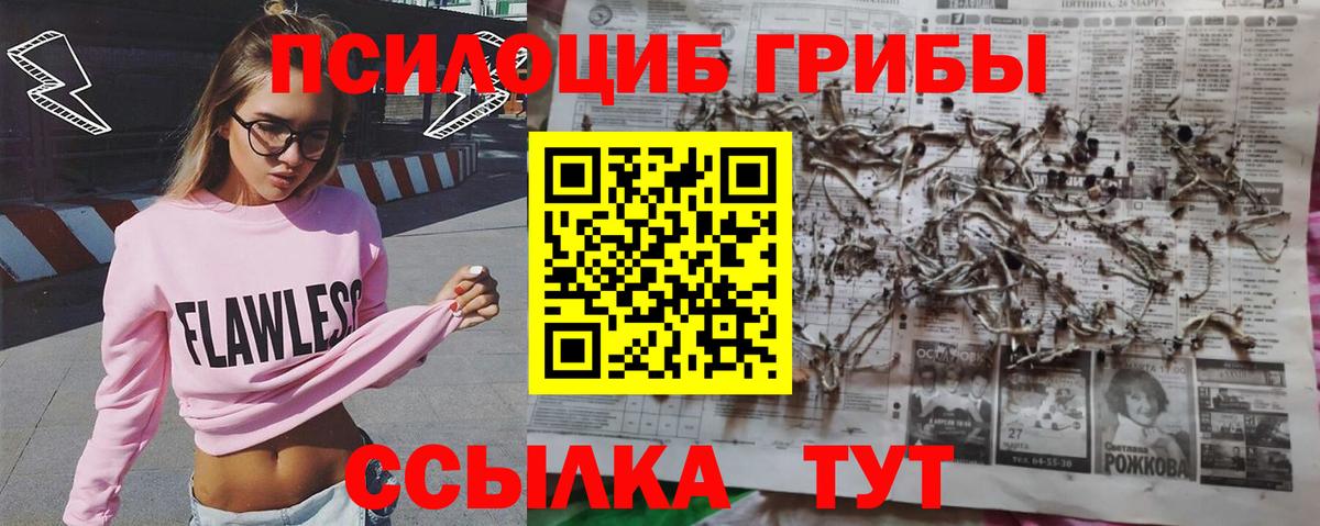 Псилоцибиновые грибы прущие грибы Стрежевой